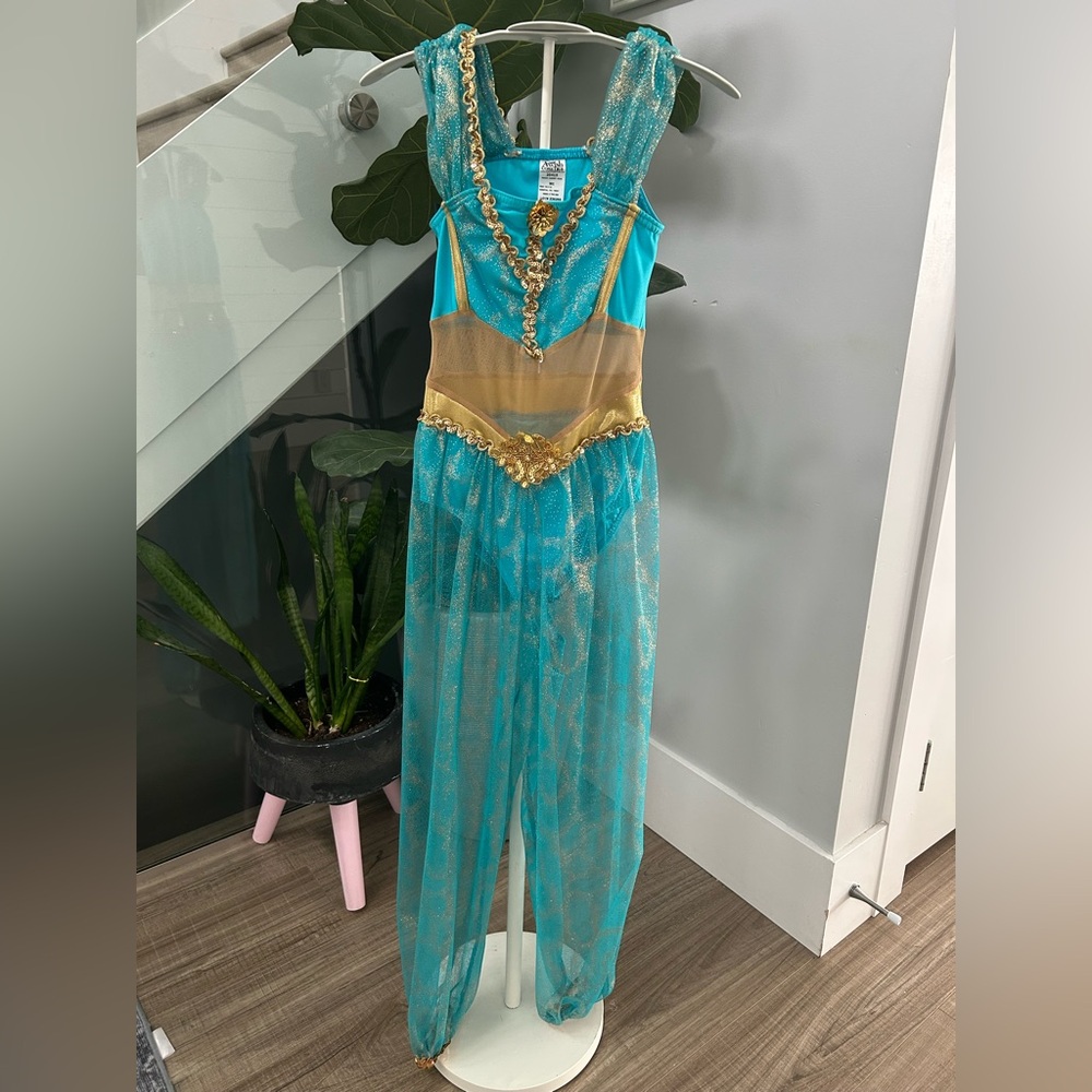 Teal and Gold Princess Costume